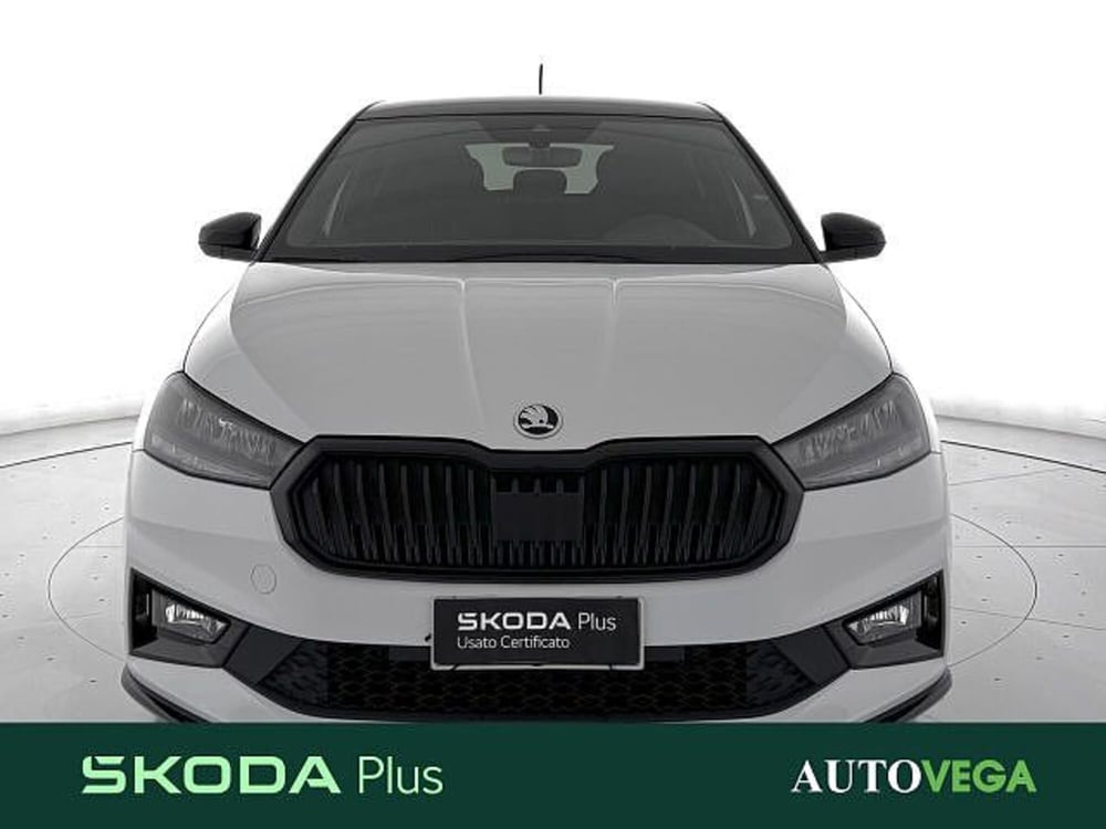 Skoda Fabia usata a Vicenza (2)