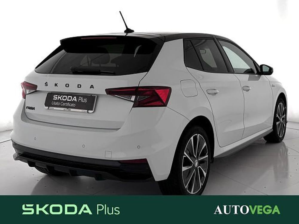 Skoda Fabia usata a Vicenza (3)