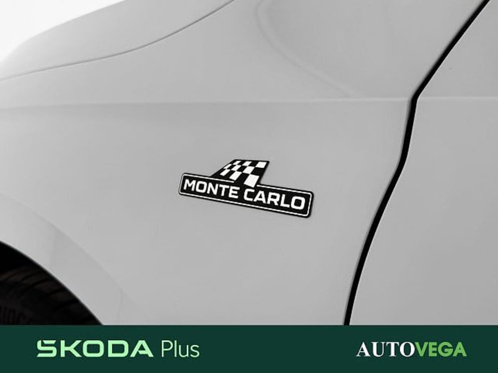 Skoda Fabia usata a Vicenza (7)