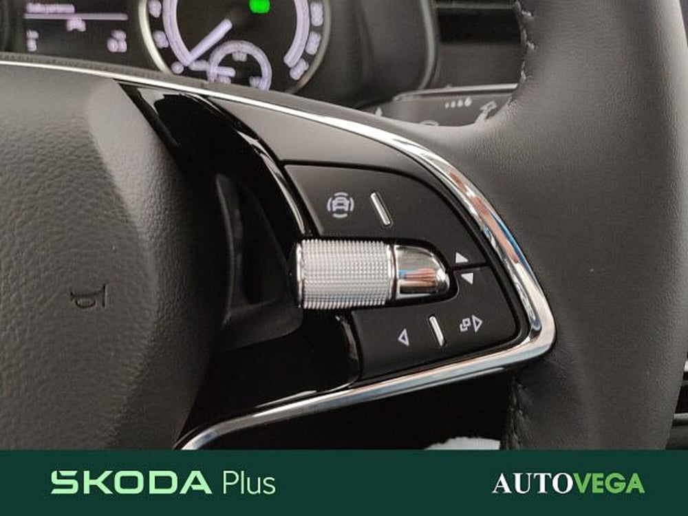 Skoda Kamiq usata a Vicenza (15)