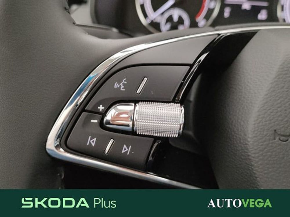 Skoda Kamiq usata a Vicenza (16)