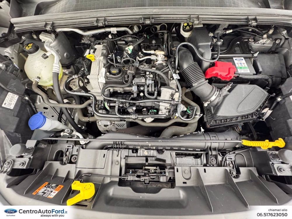 Ford Puma usata a Roma (12)