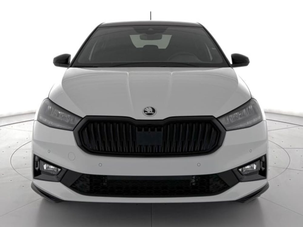 Skoda Fabia nuova a Vicenza (2)