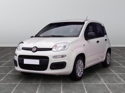 Fiat Panda 1.0 firefly hybrid s&amp;s 70cv 5p.ti nuova a Desenzano del Garda