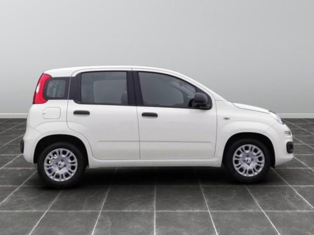 Fiat Panda nuova a Brescia (4)