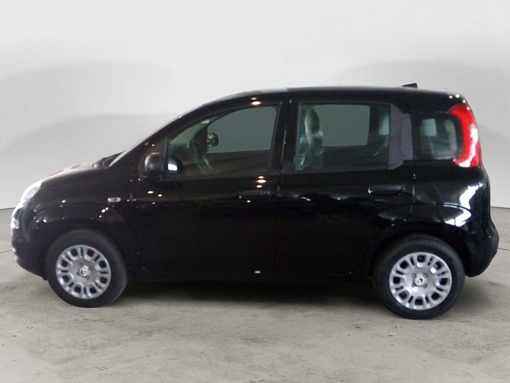 Fiat Panda Cross nuova a Brindisi (2)
