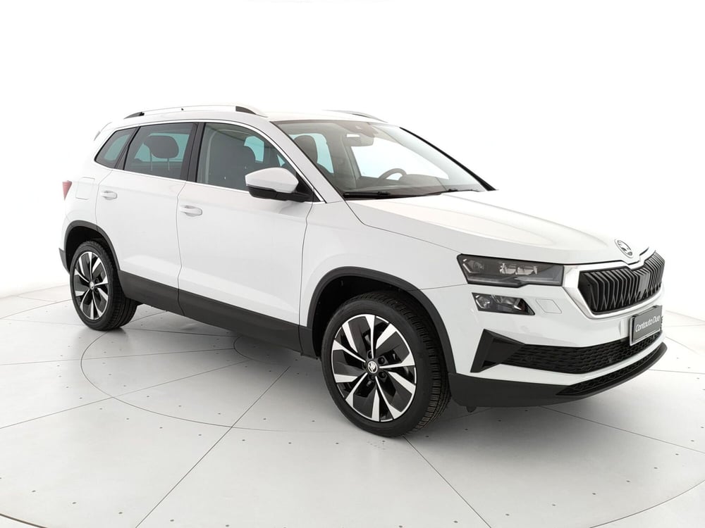 Skoda Karoq usata a Caserta (3)