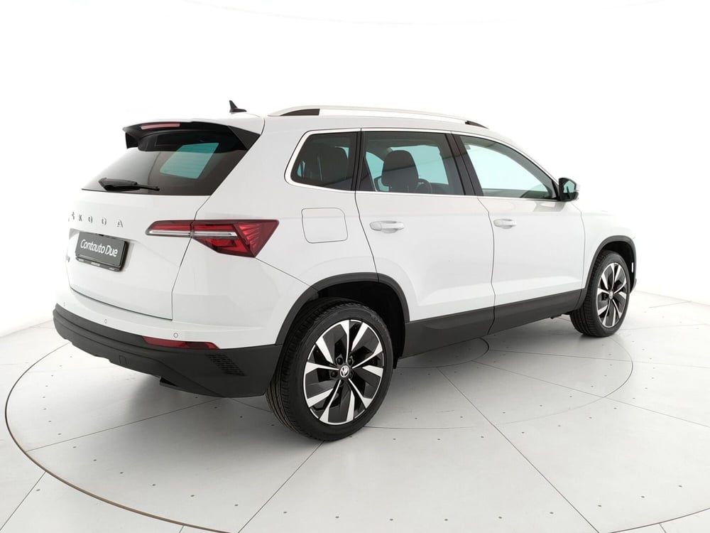 Skoda Karoq usata a Caserta (5)