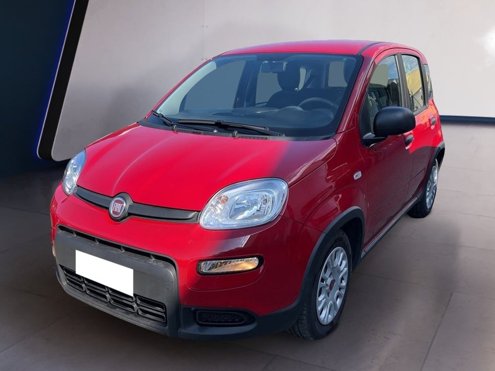 Fiat Panda usata a Torino (2)