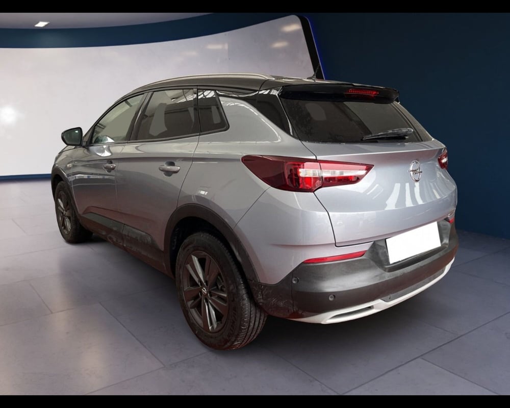 Opel Grandland X usata a Torino (10)