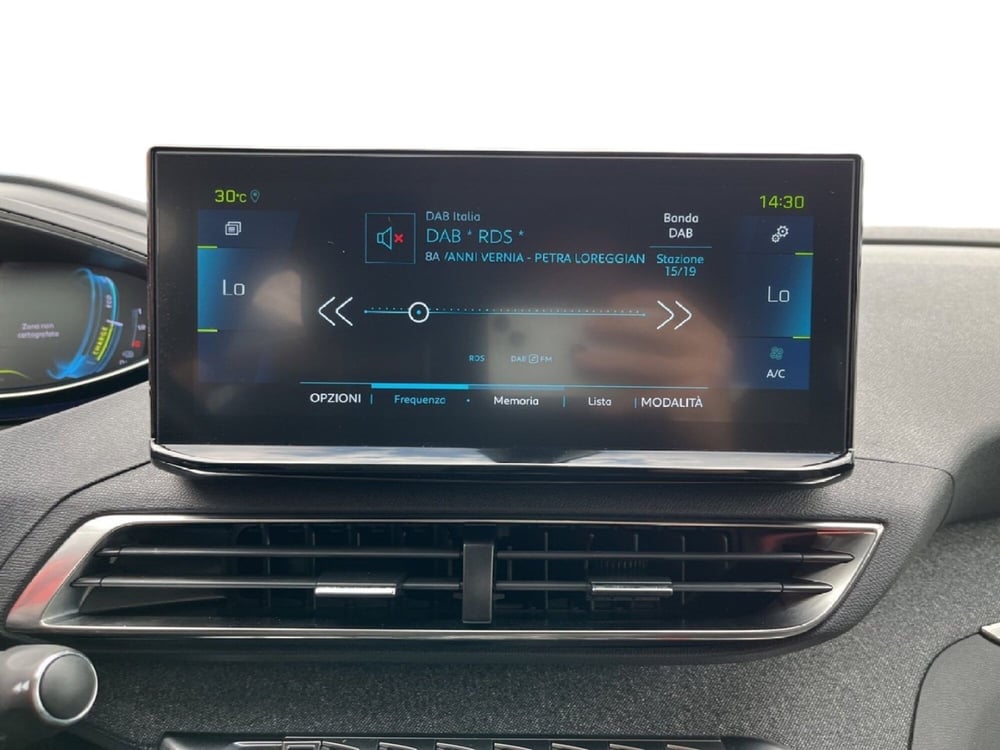 Peugeot 3008 usata a Torino (14)