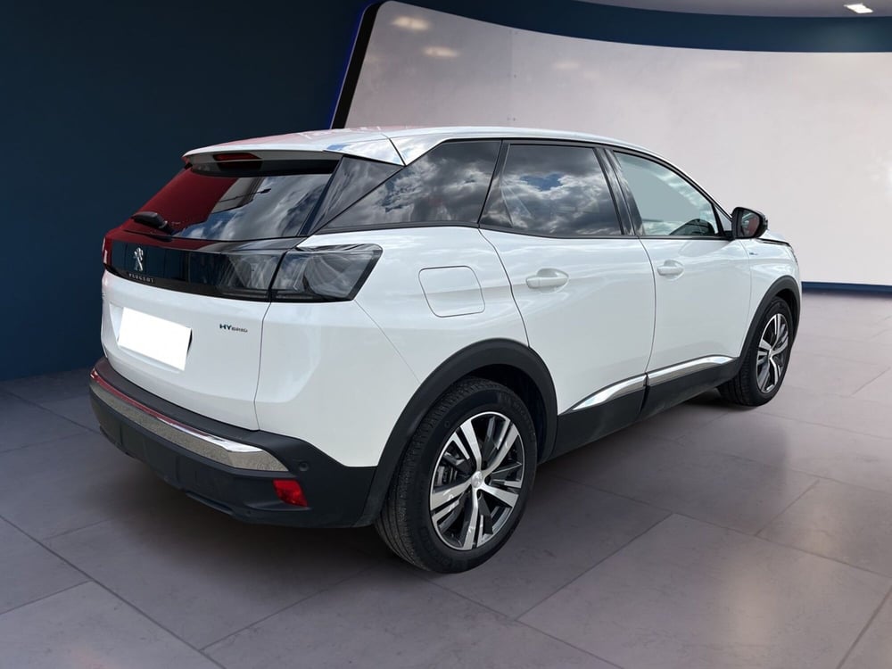 Peugeot 3008 usata a Torino (4)