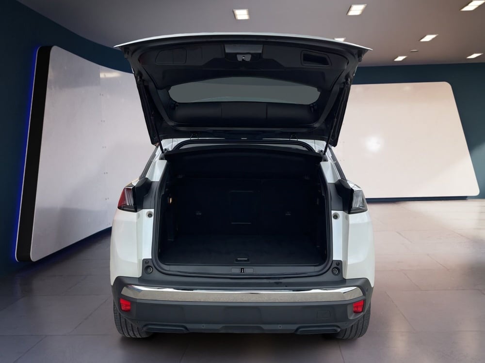 Peugeot 3008 usata a Torino (7)