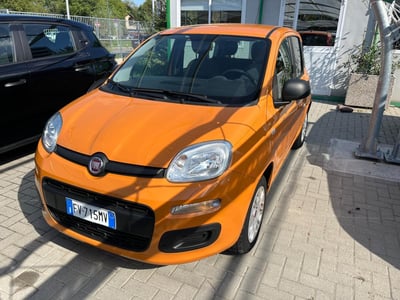 Fiat Panda 1.2 EasyPower Easy del 2019 usata a Milano