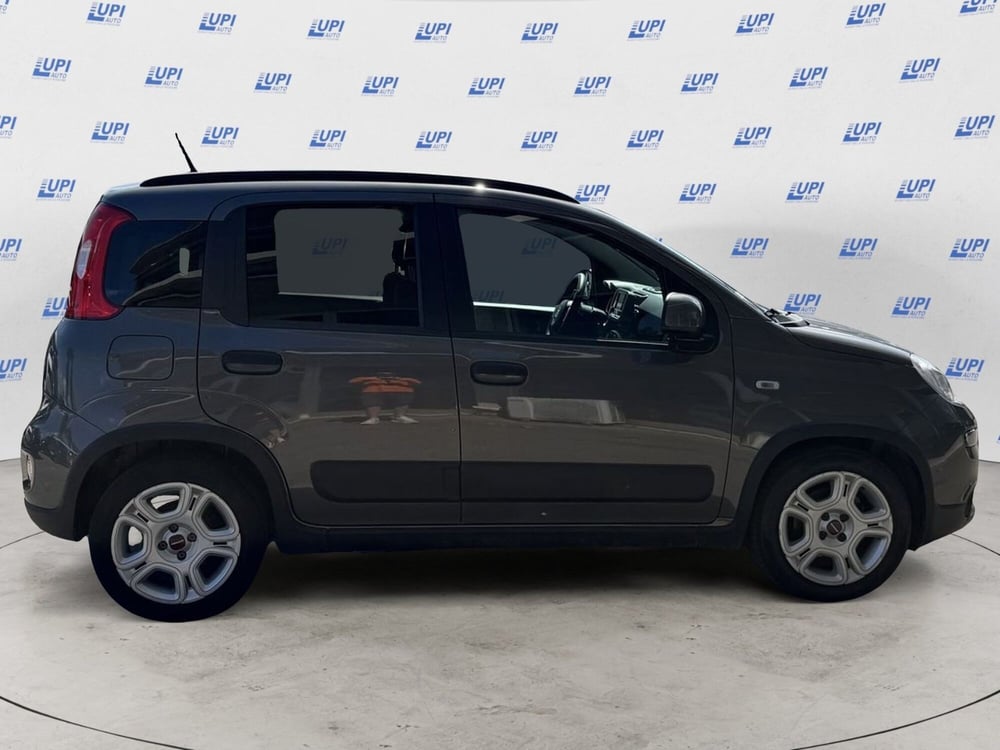 Fiat Panda usata a Firenze (4)