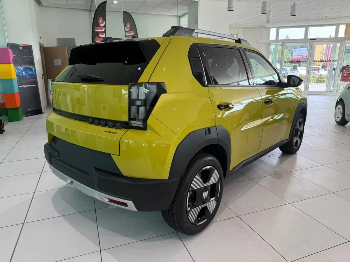 Fiat Grande Panda nuova a Reggio Emilia (2)
