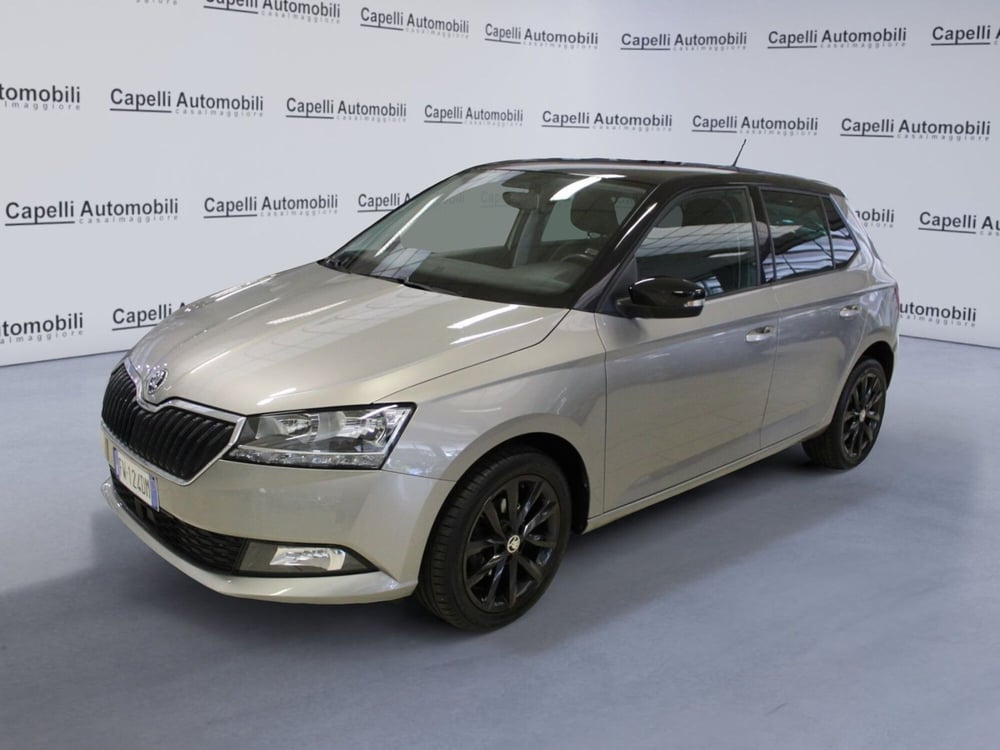 Skoda Fabia usata a Cremona