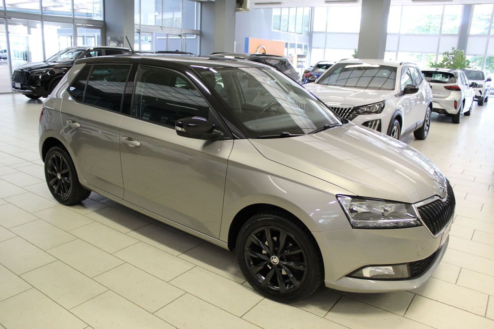 Skoda Fabia usata a Cremona (2)