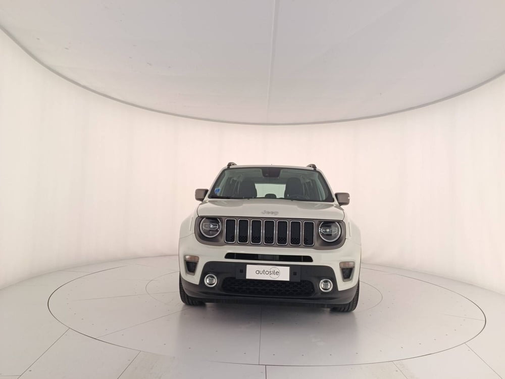 Jeep Renegade usata a Treviso (2)