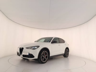 Alfa Romeo Stelvio 2.2 t Veloce Q4 210cv auto del 2024 usata a Treviso