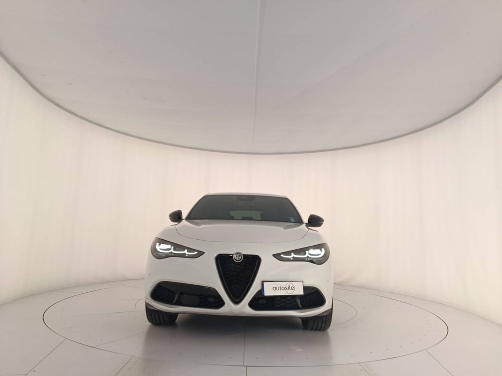 Alfa Romeo Stelvio usata a Treviso (2)