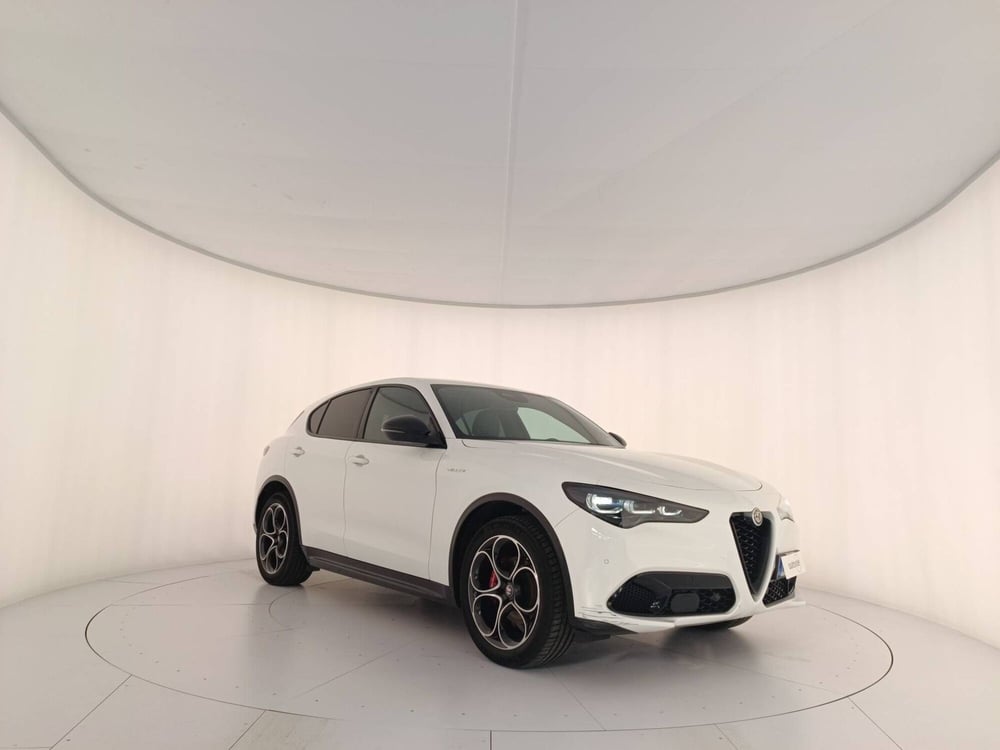Alfa Romeo Stelvio usata a Treviso (3)