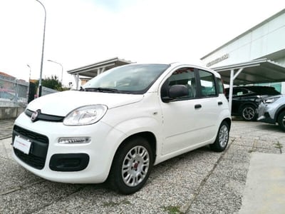 Fiat Panda 1.0 FireFly S&amp;S Hybrid City Cross del 2021 usata a Rho