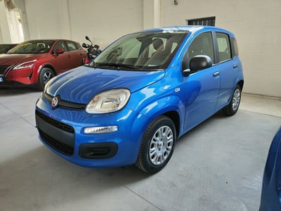 Fiat Panda 1.0 FireFly S&amp;S Hybrid City Cross nuova a Rivoli