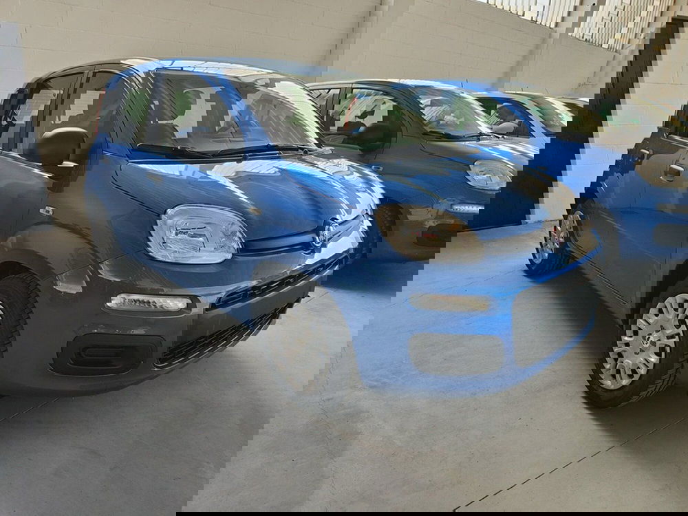 Fiat Panda nuova a Torino (2)