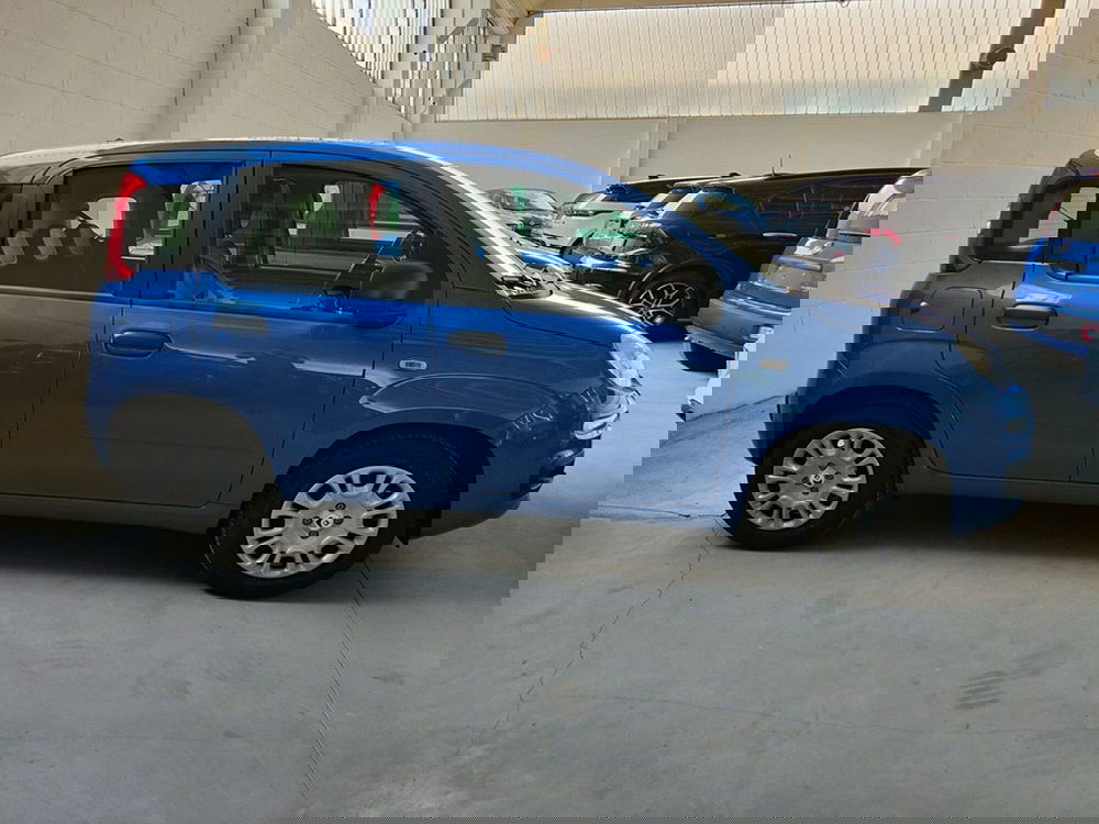 Fiat Panda nuova a Torino (3)