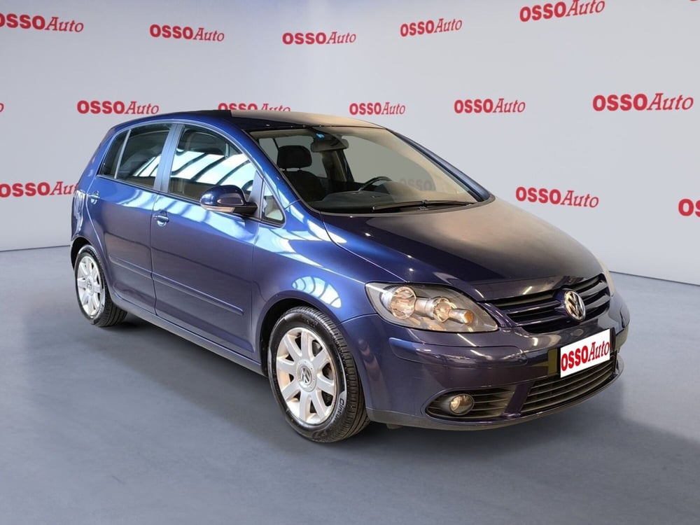 Volkswagen Golf Plus usata a Udine (2)