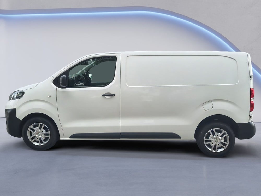 Opel Vivaro Furgone usata a Padova (7)