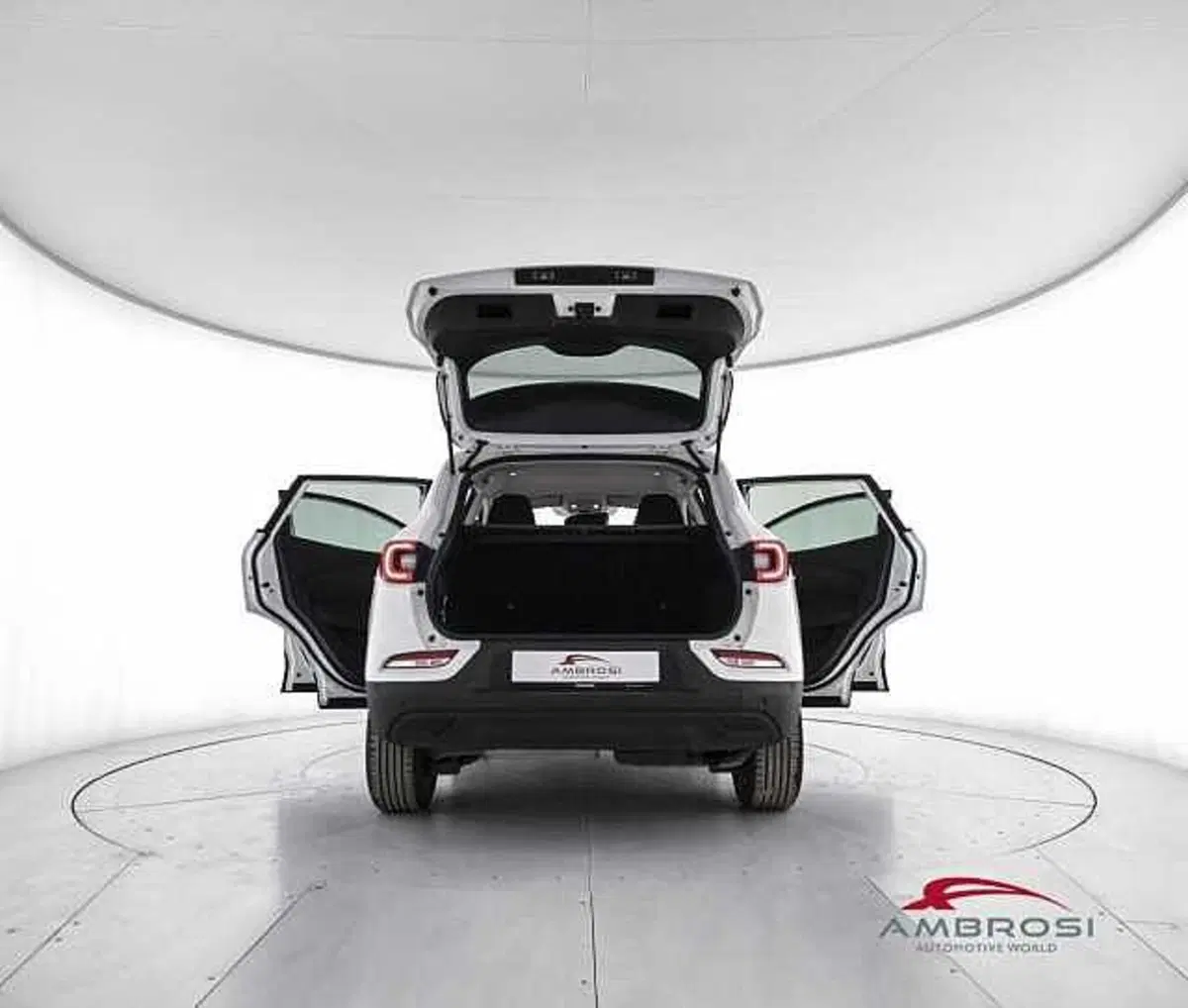 Renault Kadjar usata a Perugia (7)