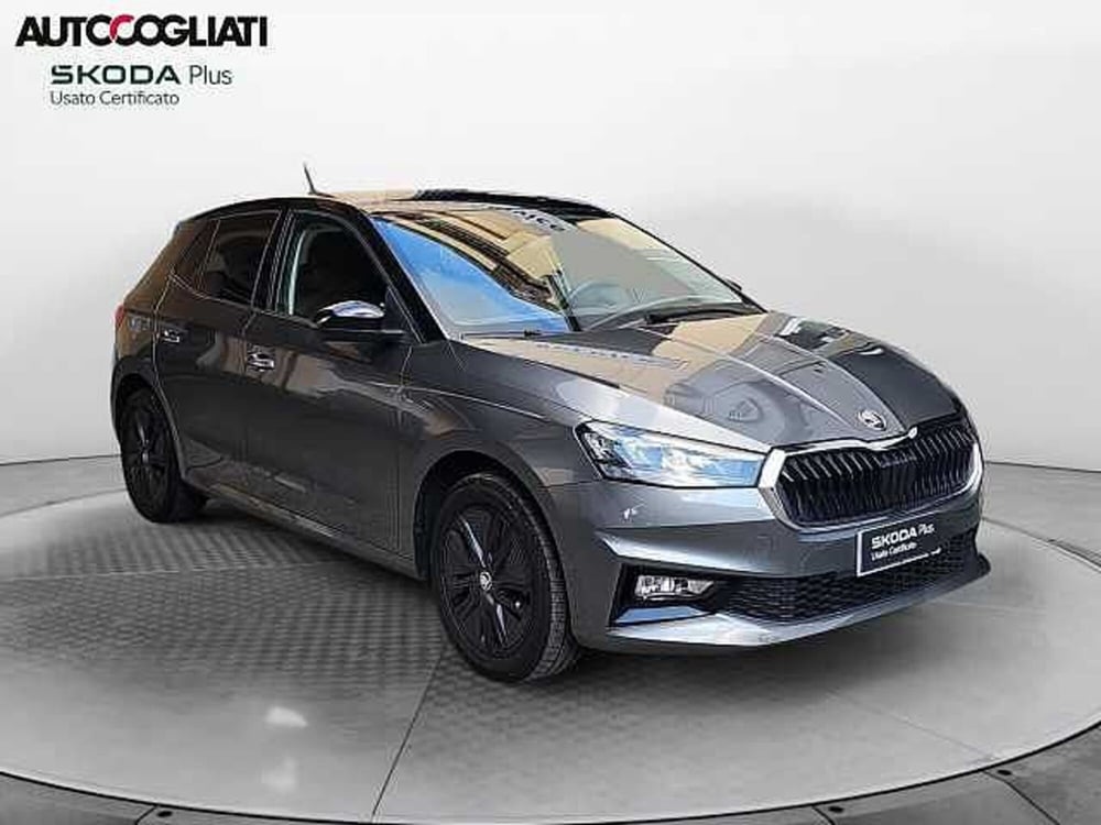 Skoda Fabia usata a Lecco (3)