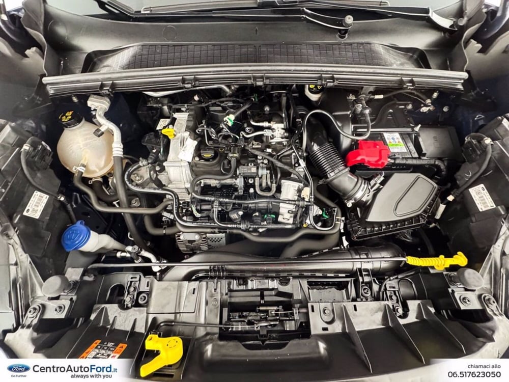 Ford Puma usata a Roma (11)