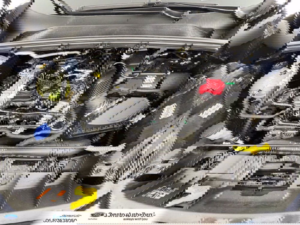 Ford Puma usata a Roma (12)