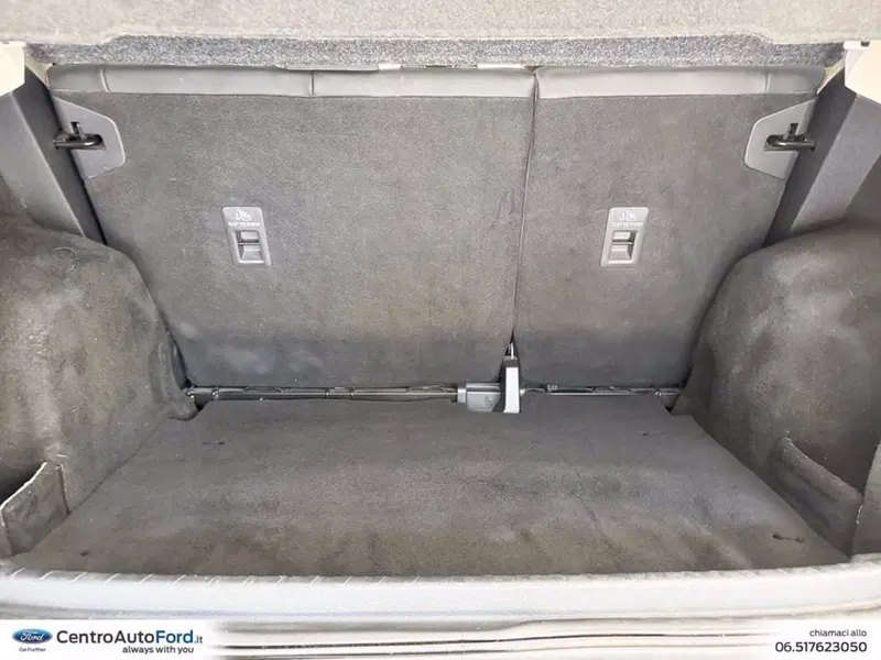 Ford EcoSport usata a Roma (11)