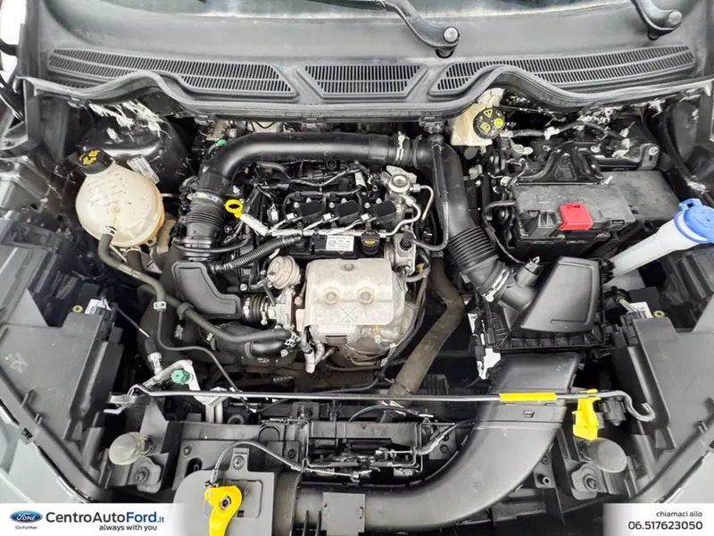 Ford EcoSport usata a Roma (12)