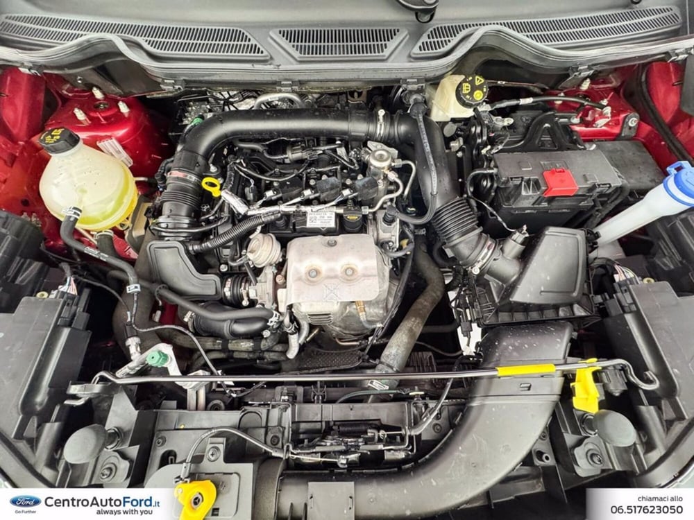 Ford EcoSport usata a Roma (12)
