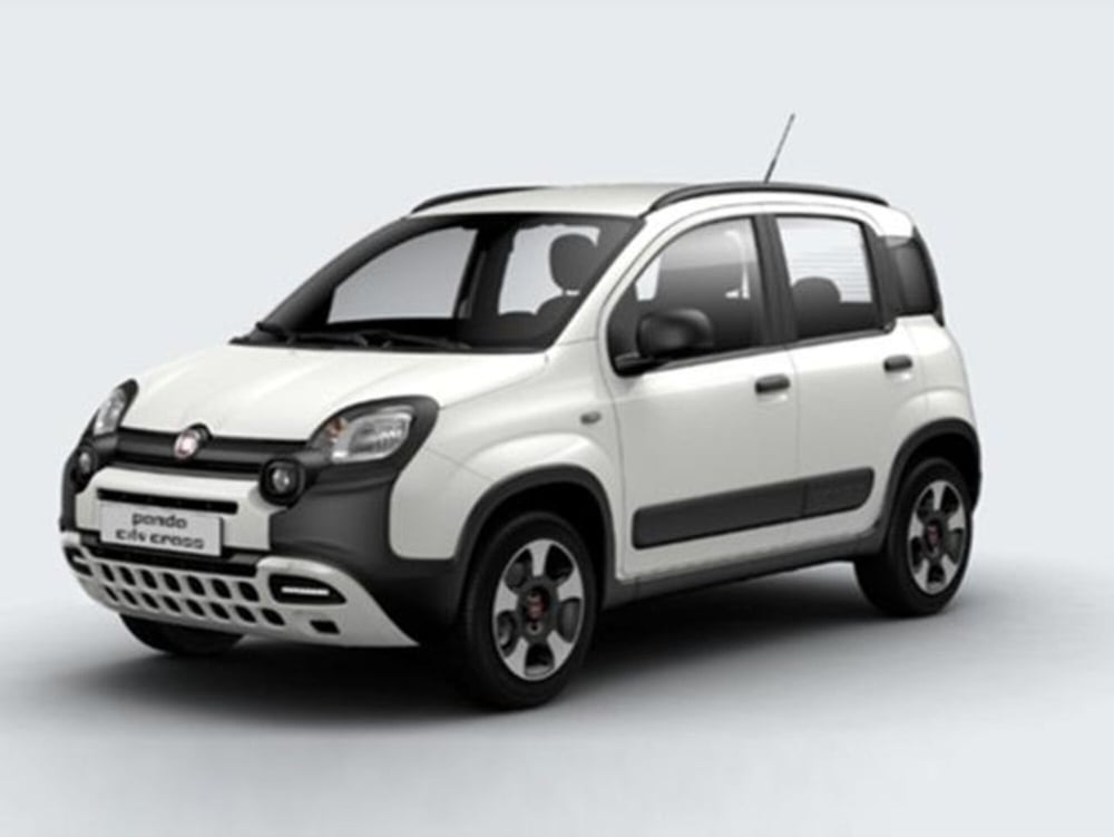 Fiat Panda Cross usata a Lodi