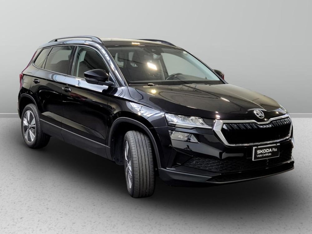 Skoda Karoq usata a Padova (5)