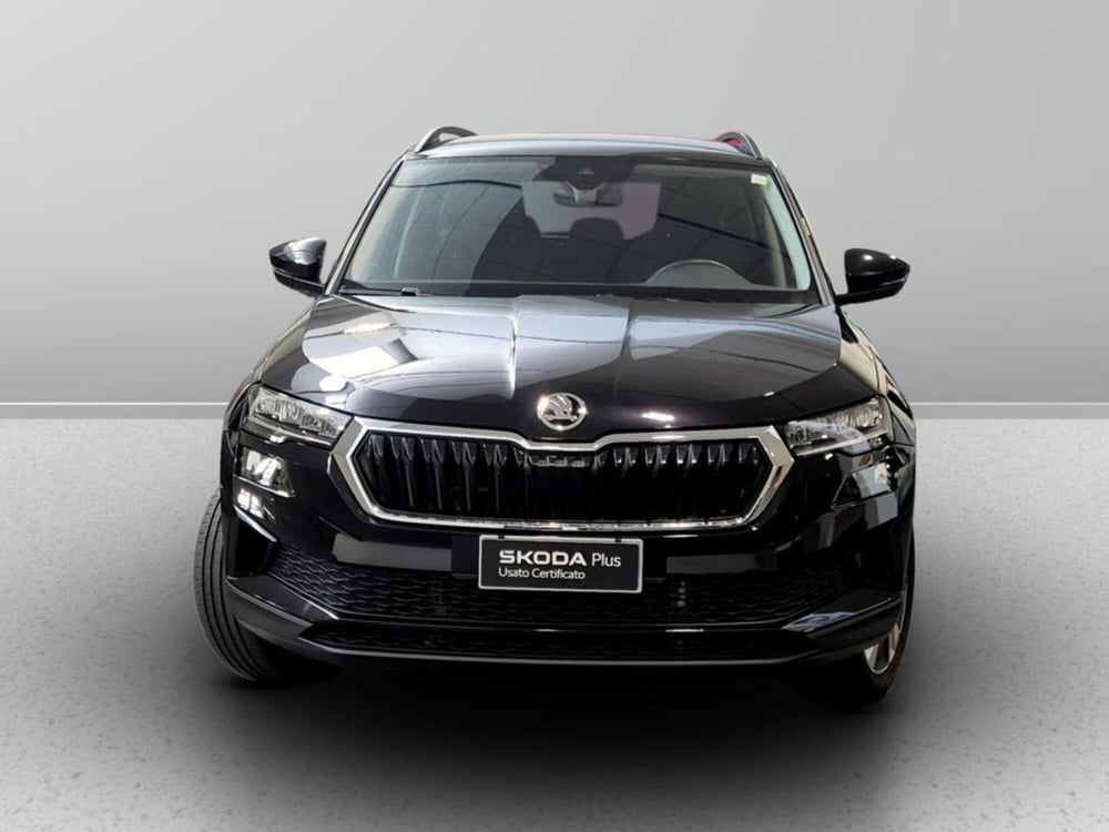 Skoda Karoq usata a Padova (6)
