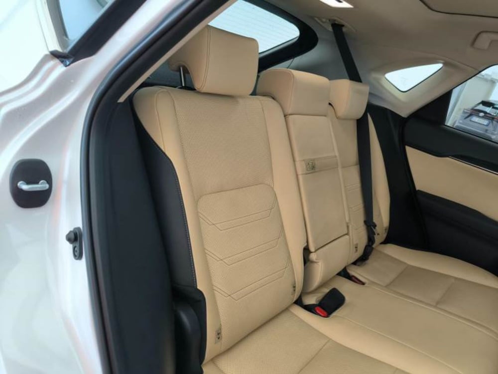 Lexus NX usata a Potenza (16)