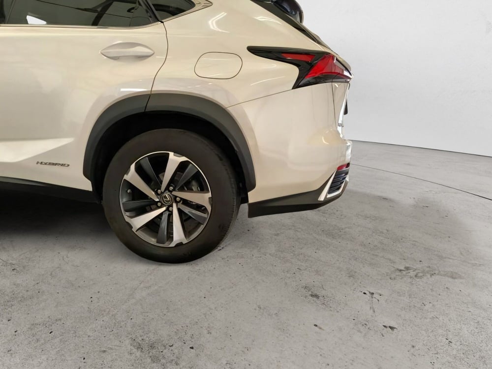 Lexus NX usata a Potenza (20)