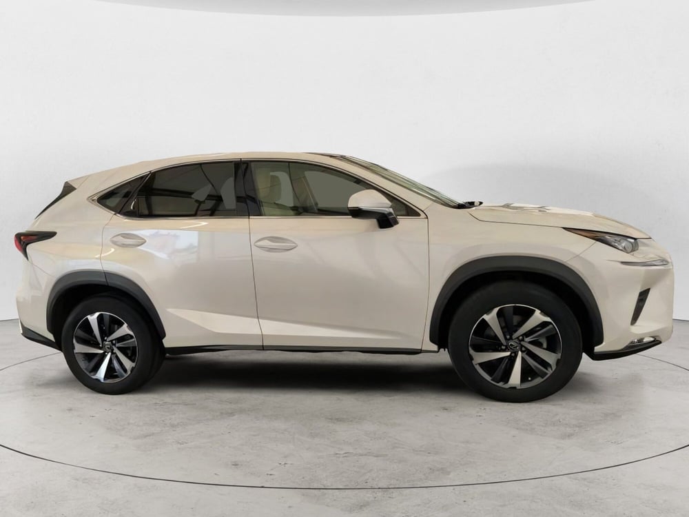 Lexus NX usata a Potenza (6)