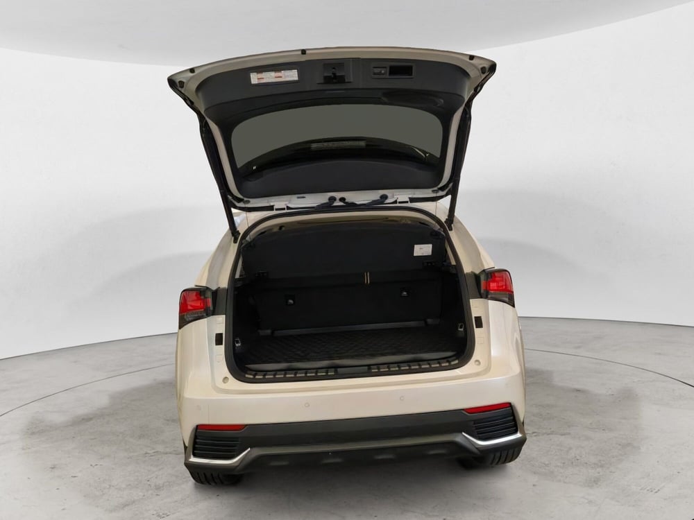 Lexus NX usata a Potenza (9)