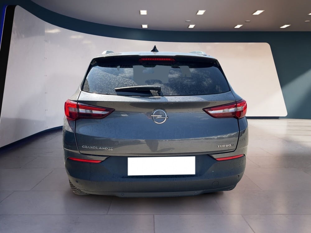 Opel Grandland X usata a Torino (6)