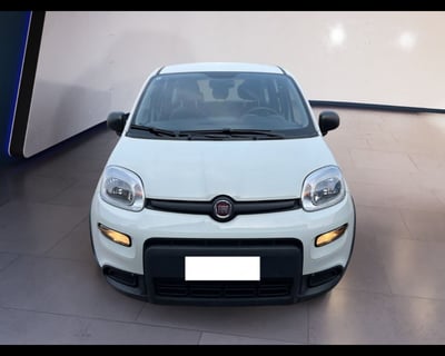 Fiat Panda 1.0 firefly hybrid s&amp;s 70cv 5p.ti del 2022 usata a Torino