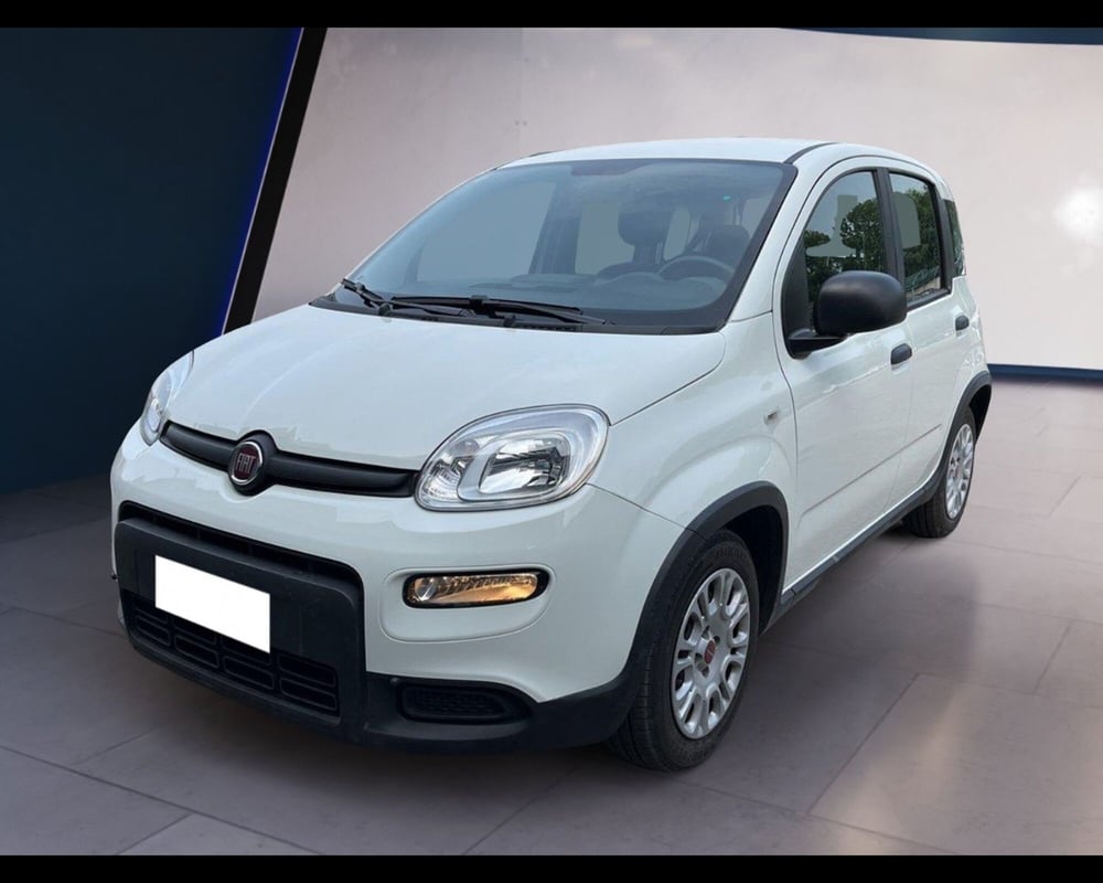 Fiat Panda usata a Torino (8)