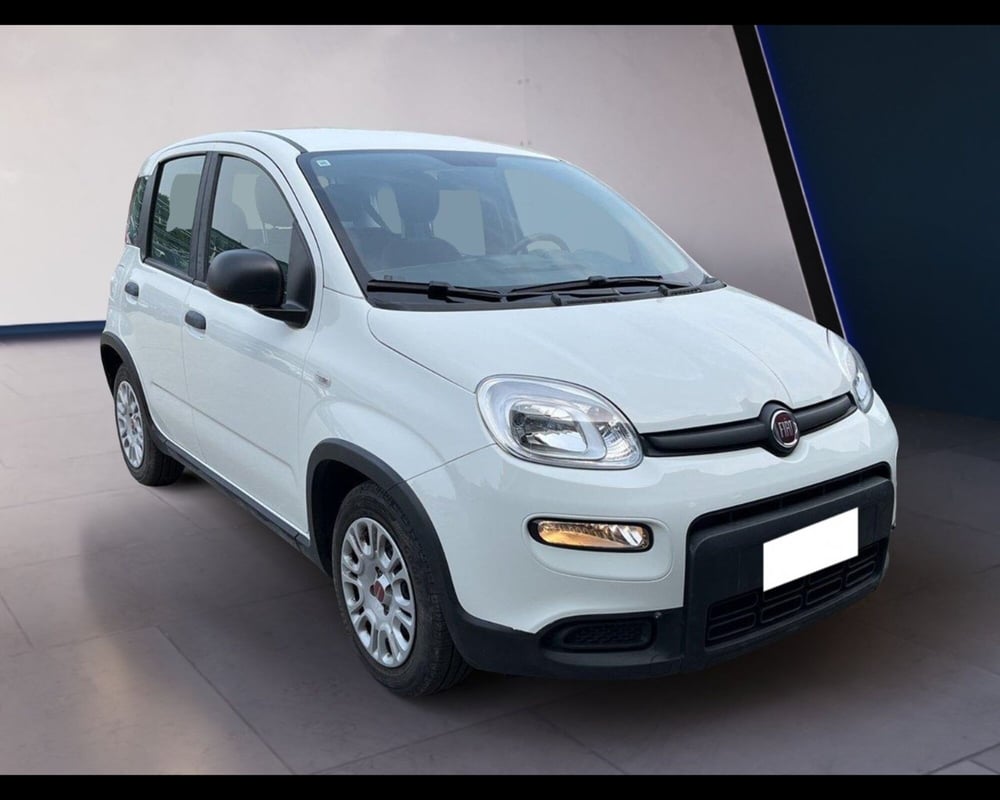 Fiat Panda usata a Torino (9)